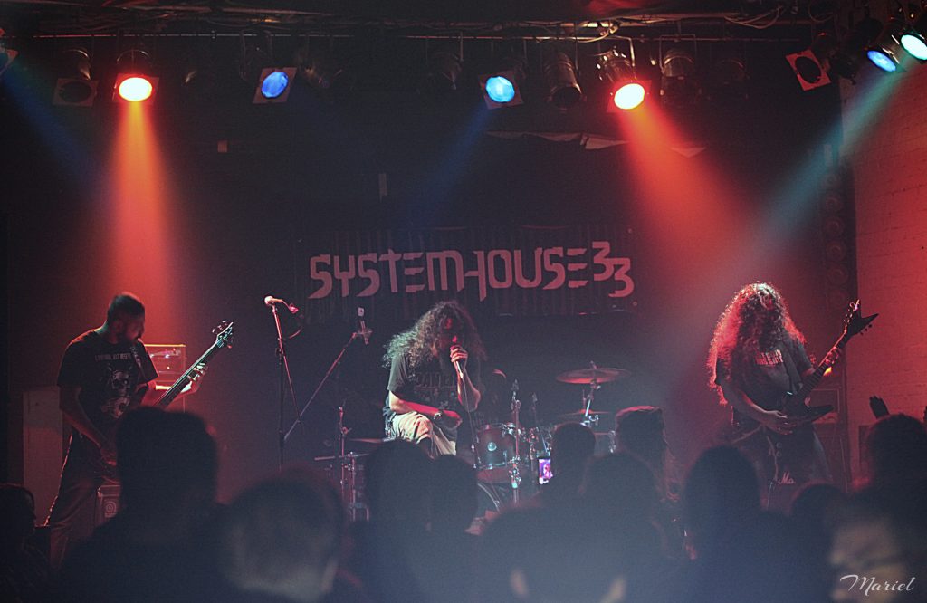 SystemHouse33_Rostock 1